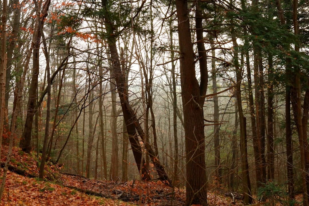 Evergreen Content: Write Once, Get Traffic for Years